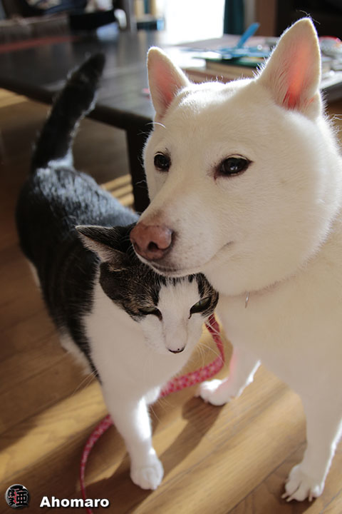 写真00