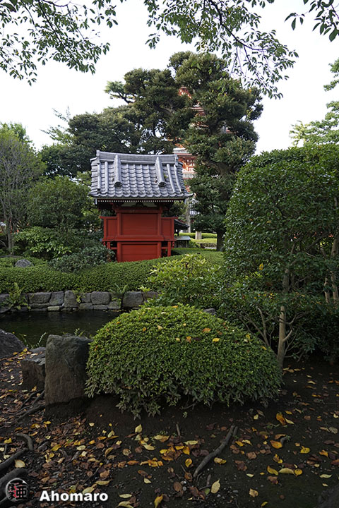 写真00