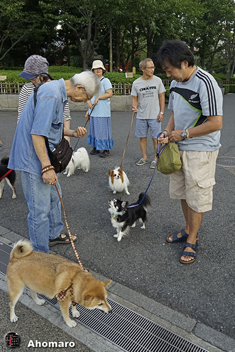 写真00