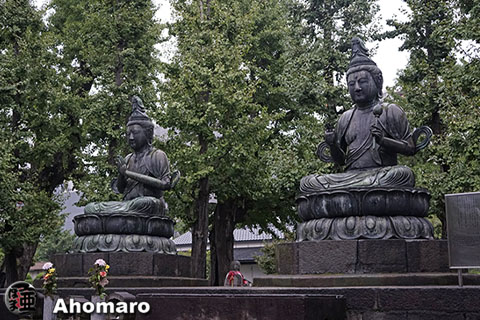 写真00