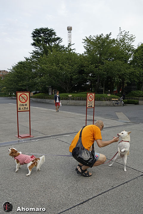写真00