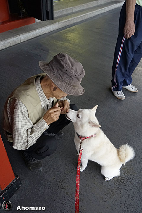 写真00