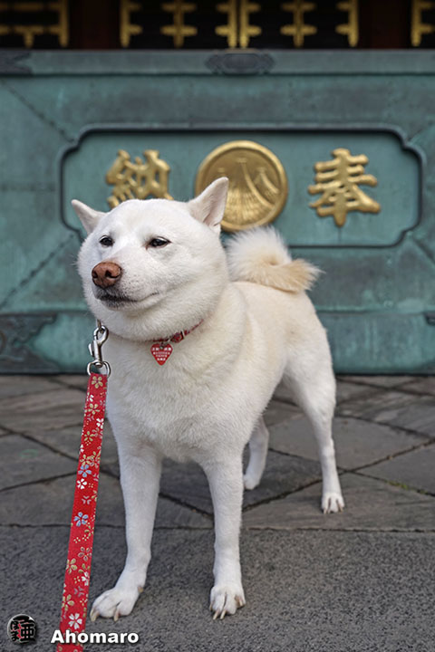 ʐ^00