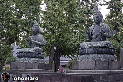 写真00