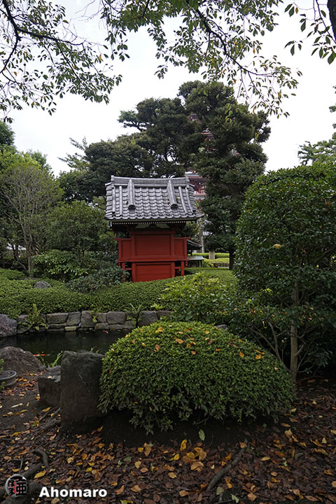写真00