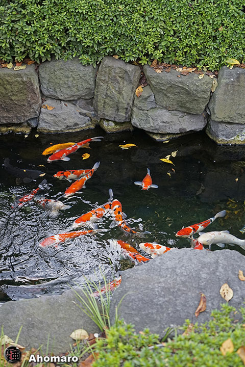 写真00