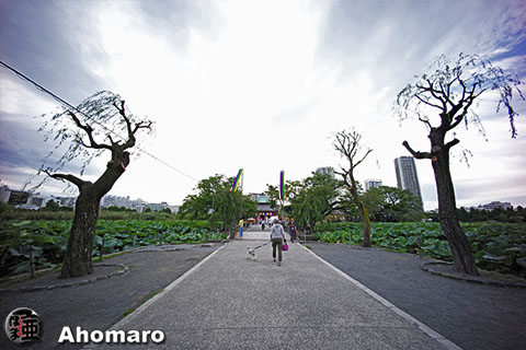 写真00
