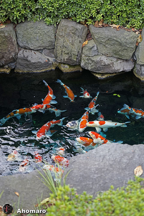 写真00