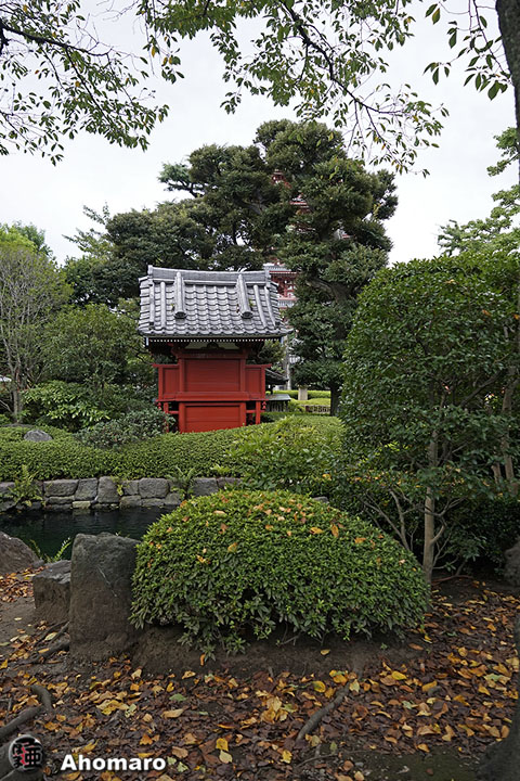 写真00