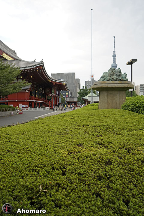 写真00