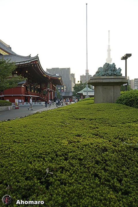 写真00
