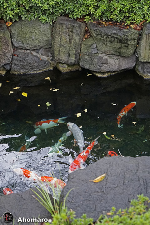 写真00
