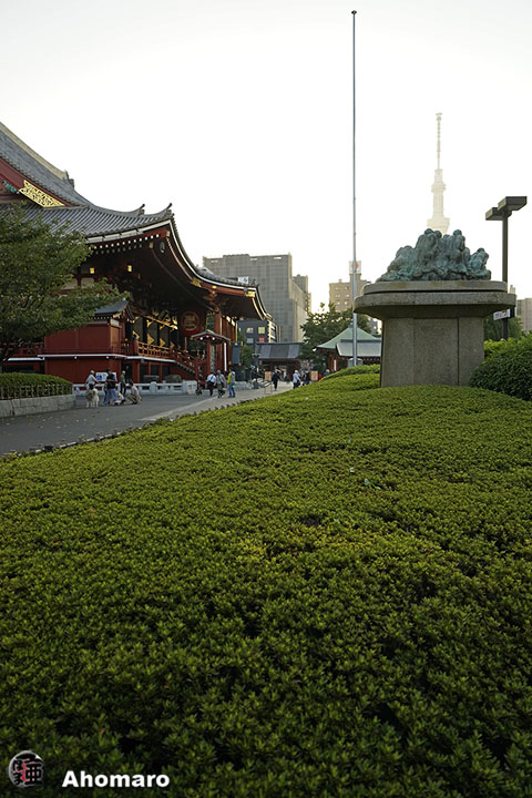写真00