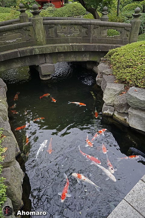 写真00