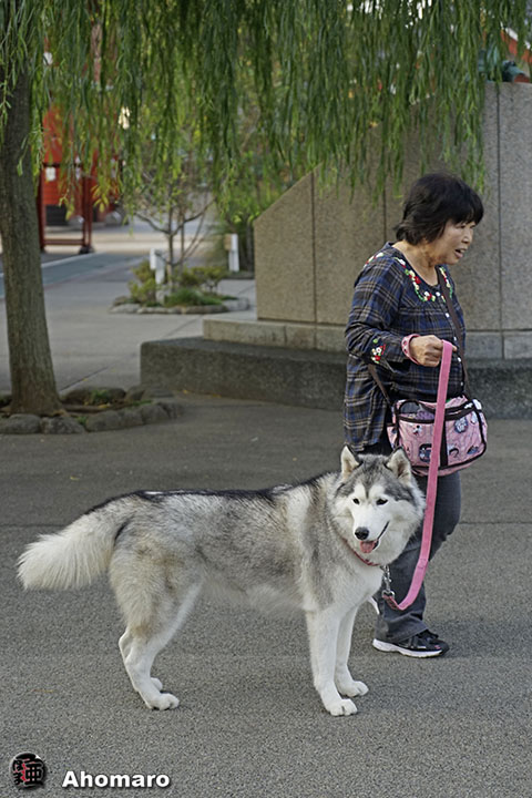 写真00