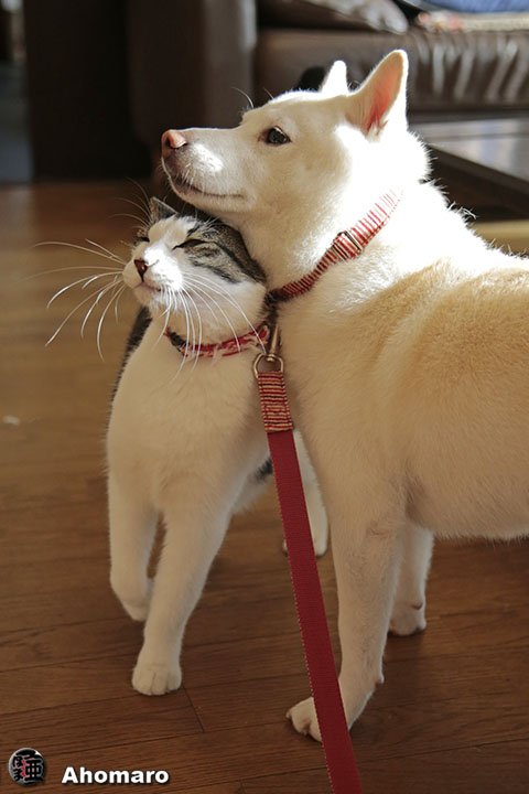 写真00