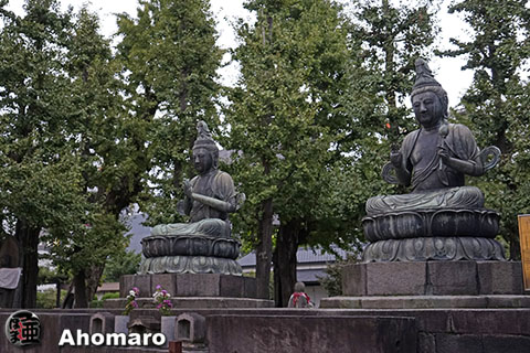 写真00