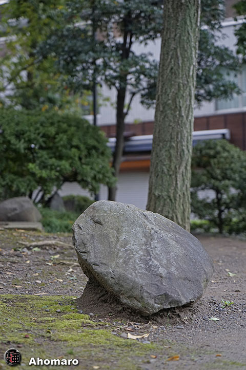 写真00