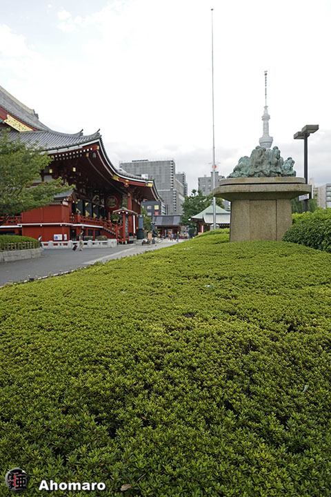 写真00