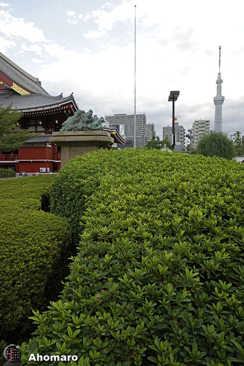 写真00