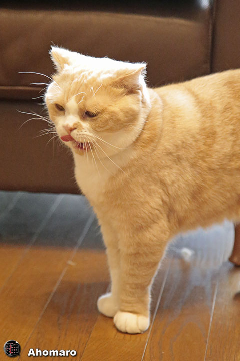 写真00