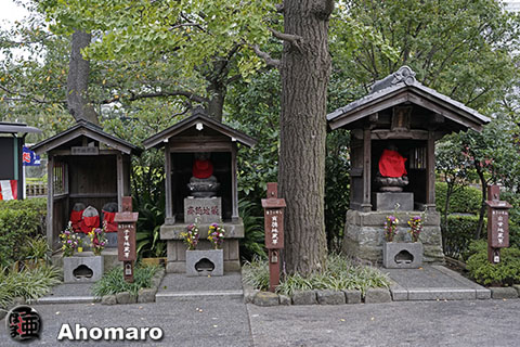 写真00