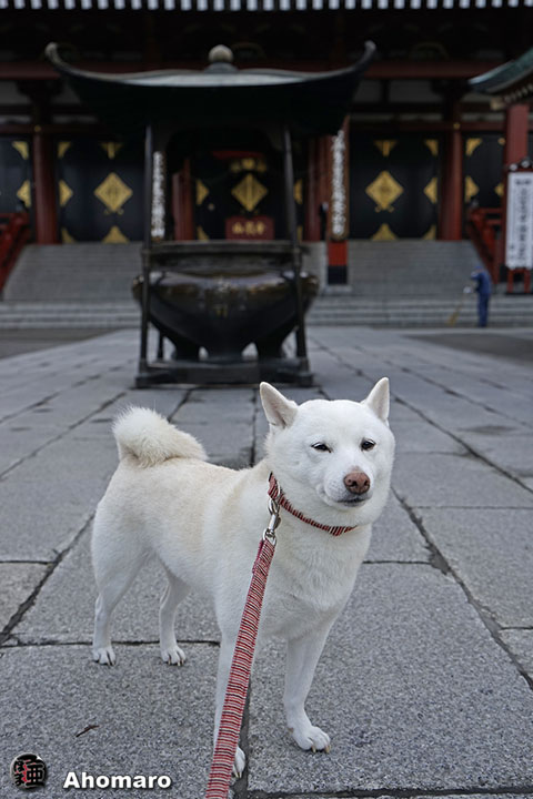 写真00