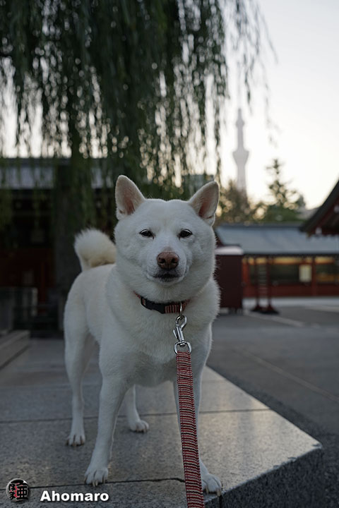 写真00