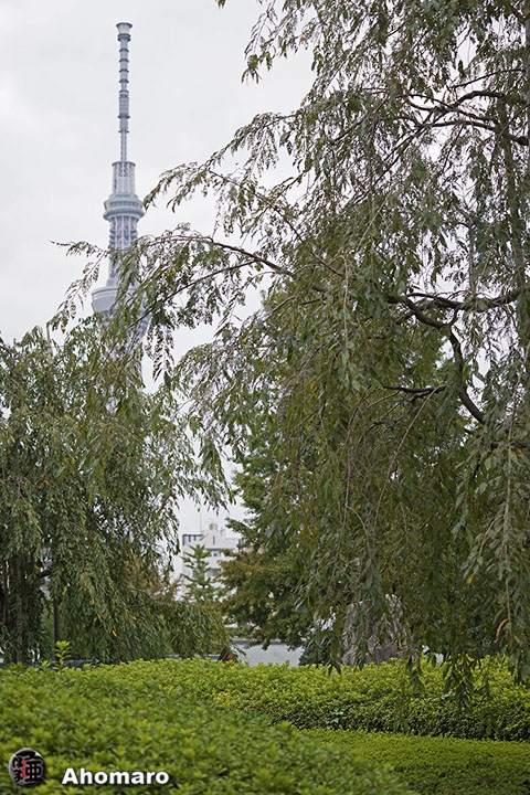 写真00