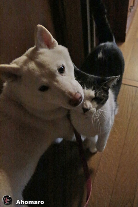 ʐ^00