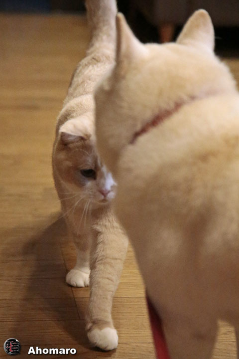 ʐ^00
