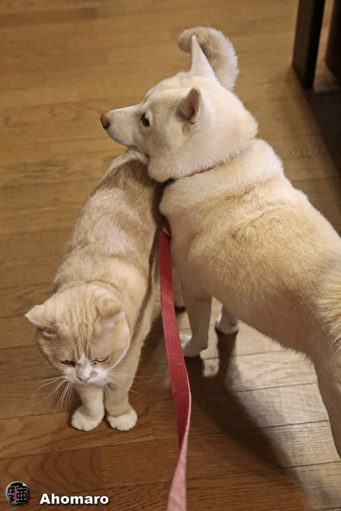 ʐ^00
