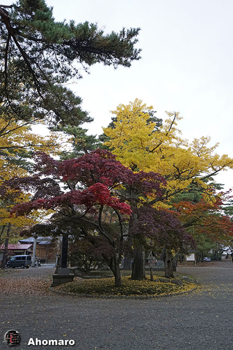 写真00