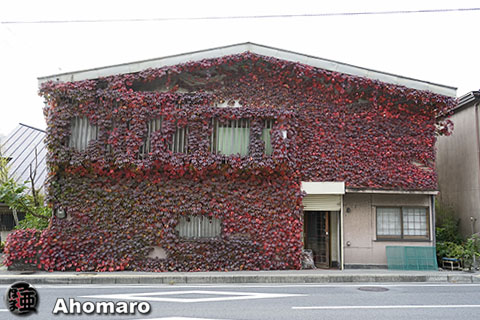 写真00
