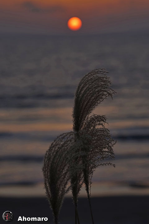 写真00