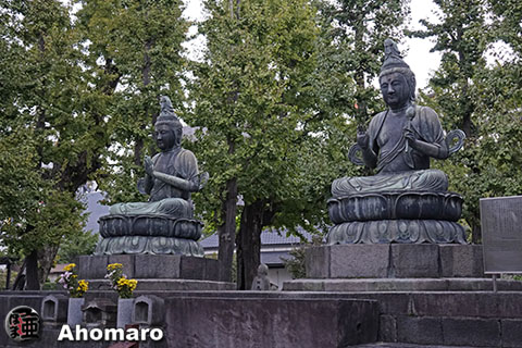 写真00