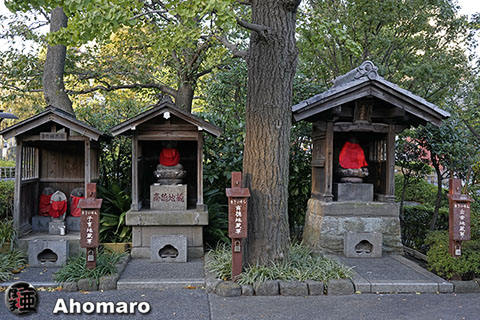 写真00