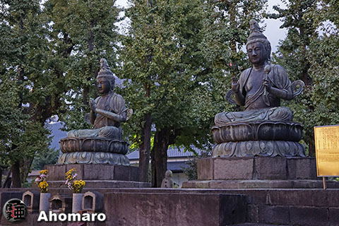 写真00