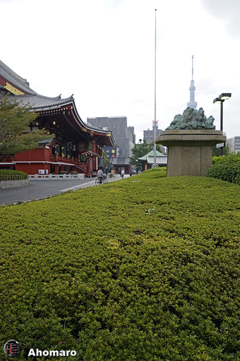 写真00