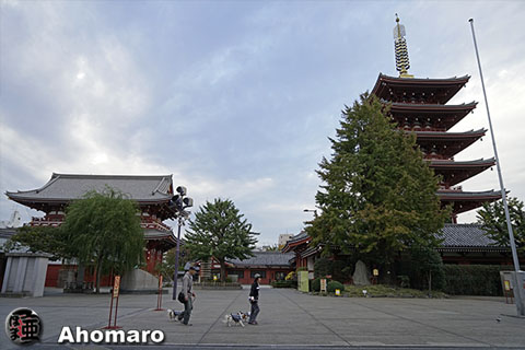 写真00