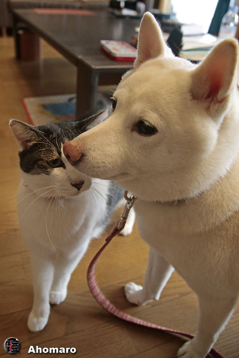 写真00