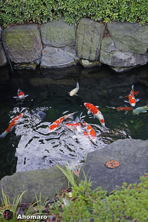 写真00