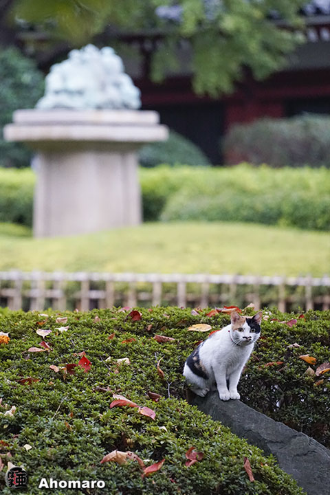 写真00