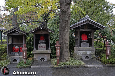 写真00