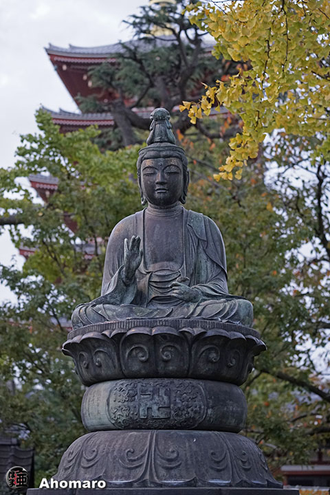 写真00