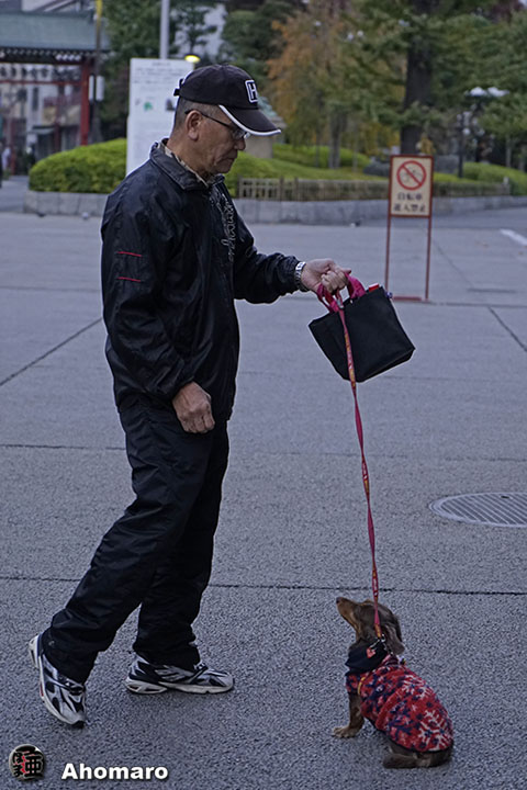 ʐ^00