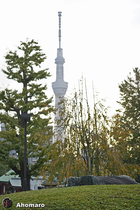 写真00
