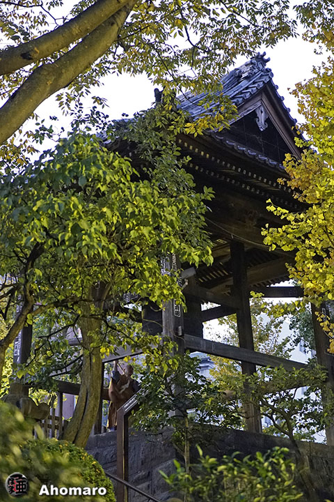 写真00