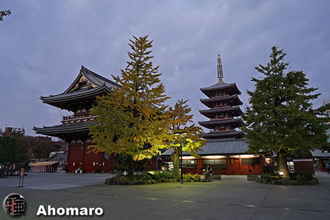 写真00