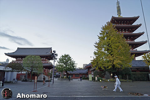 写真00